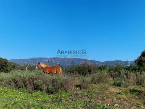 Dois Terrenos Com Ruínas -  Vista Serra Monchique - Barragem - Portimão - Casas Velhas