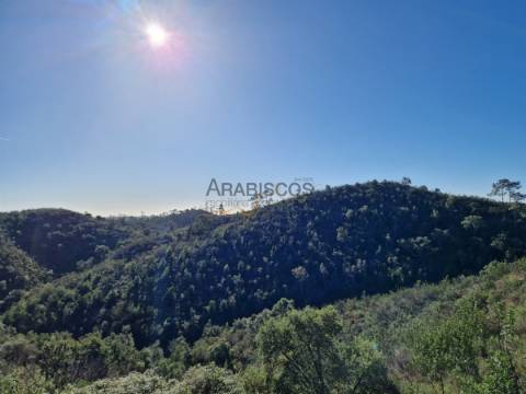 Dois Terrenos Com Ruínas -  Vista Serra Monchique - Barragem - Portimão - Casas Velhas