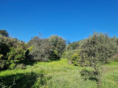 Dois Terrenos Com Ruínas -  Vista Serra Monchique - Barragem - Portimão - Casas Velhas