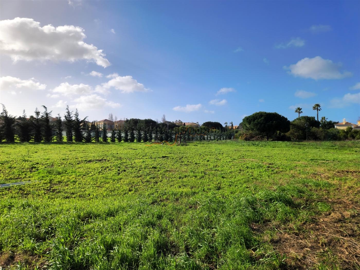 Lote de Terreno - Construção Moradia Isolada - Porto de Mós - Lagos - Algarve