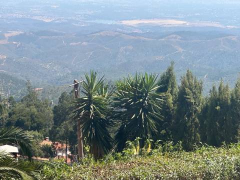 Prédio - Habitação - Comércio - Duas Entradas - Esplanada - Vista Mar - Monchique