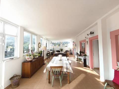 Quinta T3 - Piscina - Remodelada - Vedada - Anexo - Terraços - São Bartolomeu de Messines - Silves