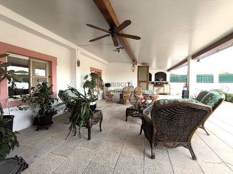 Quinta T3 - Piscina - Remodelada - Vedada - Anexo - Terraços - São Bartolomeu de Messines - Silves