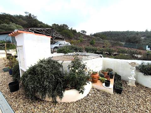 Quinta T3 - Piscina - Remodelada - Vedada - Anexo - Terraços - São Bartolomeu de Messines - Silves