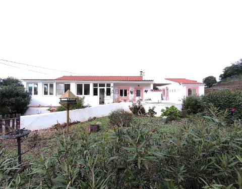 Quinta T3 - Piscina - Remodelada - Vedada - Anexo - Terraços - São Bartolomeu de Messines - Silves