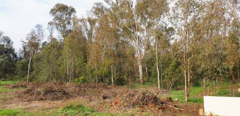 Lote de Terreno - para construção - Campo de Golf da Penina