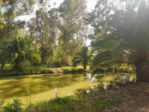 Lote de Terreno - para construção - Campo de Golf da Penina