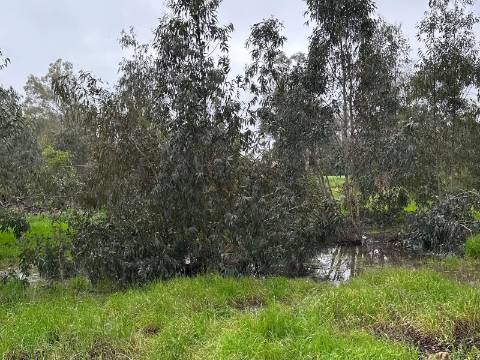 Lote de Terreno - para construção - Campo de Golf da Penina