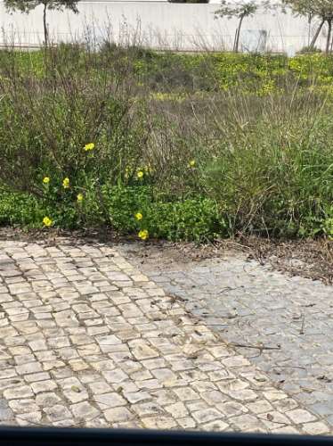 Terreno Urbano - Construção Moradia Isolada - Guia - Albufeira