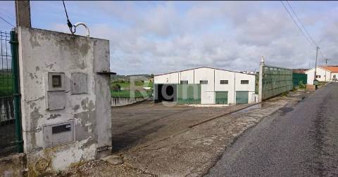 Armazém com 2000m2 em open space