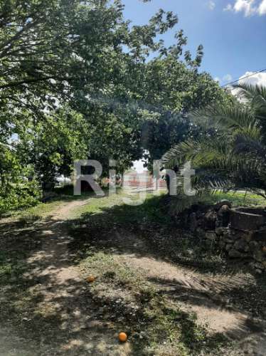 Moradia T3 com magnífico terreno em Santarém