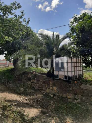 Moradia T3 com magnífico terreno em Santarém