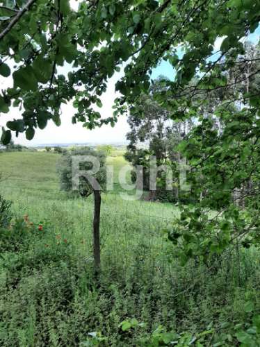 Moradia T3 com magnífico terreno em Santarém