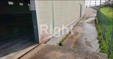 Armazém com 2000m2 em open space