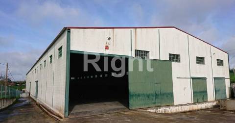 Armazém com 2000m2 em open space