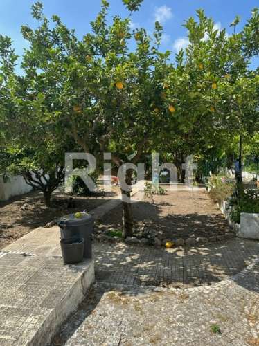 Moradia T3 com lote de 1.750m2 na zona nobre da Venda do Pinheiro