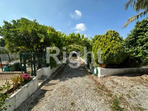 Moradia T3 com lote de 1.750m2 na zona nobre da Venda do Pinheiro