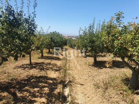 Terreno Rústico com 2812m2 em Gorcinhos, Mafra
