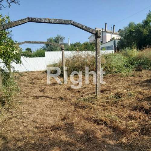 Terreno para Construção: Oportunidade Única em Santarém