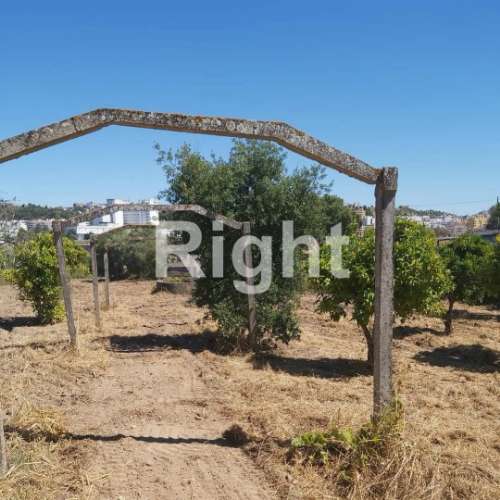 Terreno para Construção: Oportunidade Única em Santarém