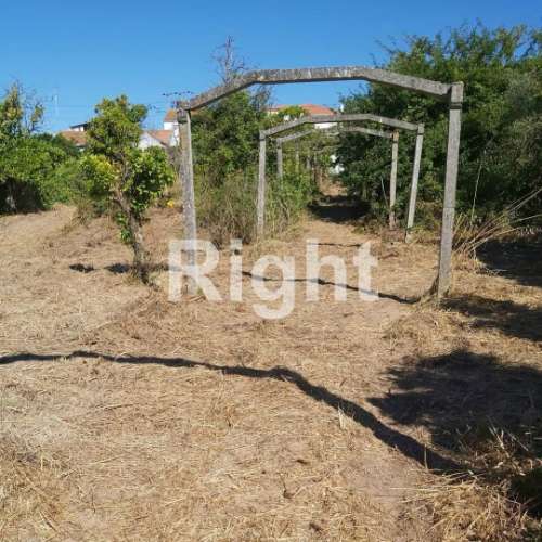 Terreno para Construção: Oportunidade Única em Santarém