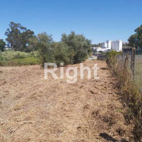 Terreno para Construção: Oportunidade Única em Santarém