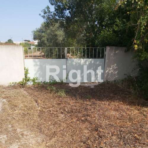 Terreno para Construção: Oportunidade Única em Santarém