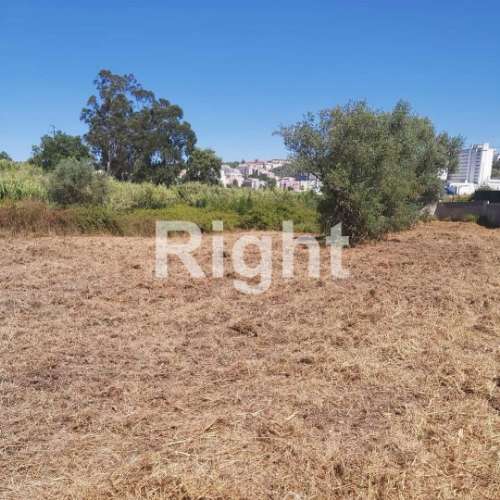 Terreno para Construção: Oportunidade Única em Santarém