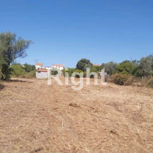 Terreno para Construção: Oportunidade Única em Santarém