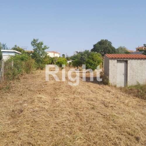 Terreno para Construção: Oportunidade Única em Santarém