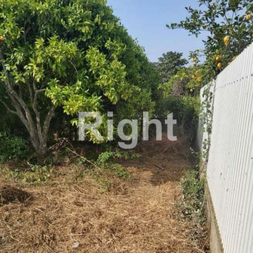 Terreno para Construção: Oportunidade Única em Santarém