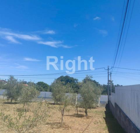 Lote de terreno em Barosa/Leiria