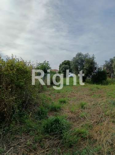 Terreno em Santarém