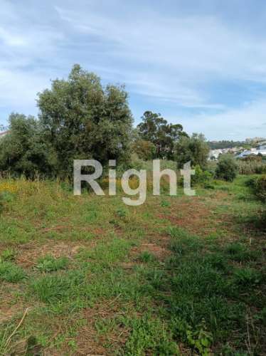 Terreno em Santarém