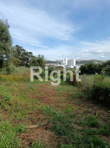 Terreno em Santarém