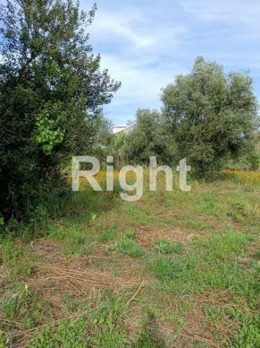 Terreno em Santarém