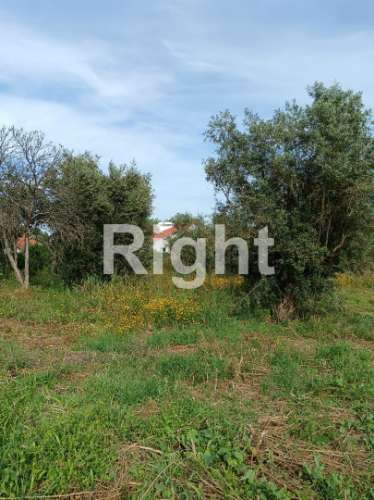 Terreno em Santarém