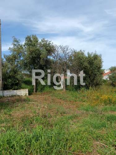 Terreno em Santarém