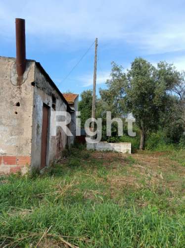 Terreno em Santarém