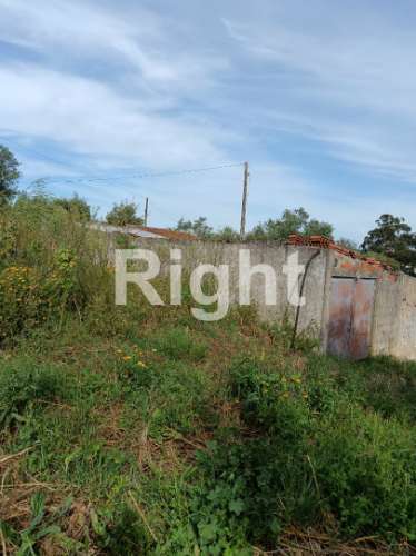 Terreno em Santarém