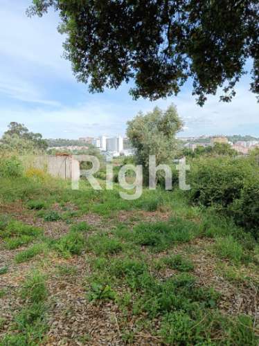 Terreno em Santarém