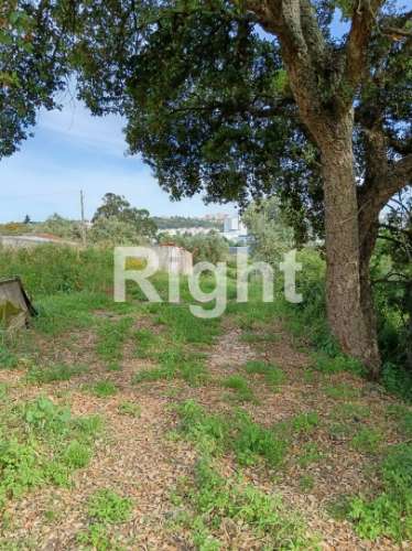 Terreno em Santarém