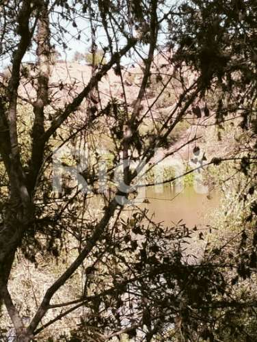 Terreno rústico com moradia em ruina em Alcoutim