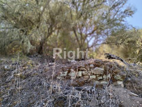 Terreno rústico com moradia em ruina em Alcoutim