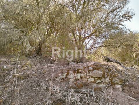 Terreno rústico com moradia em ruina em Alcoutim