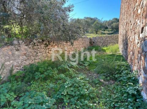 Terreno com Projeto Aprovado para Turismo Rural e Potencial Habitacional - São Brás de Alportel