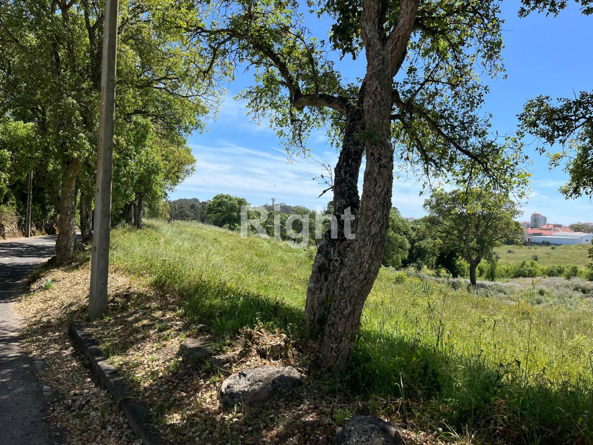 Terreno com 51.000m2 em Algueirão-Mem Martins
