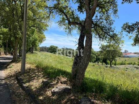 Terreno com 51.000m2 em Algueirão-Mem Martins