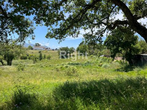 Terreno com 51.000m2 em Algueirão-Mem Martins