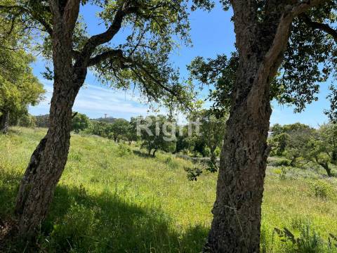 Terreno com 51.000m2 em Algueirão-Mem Martins